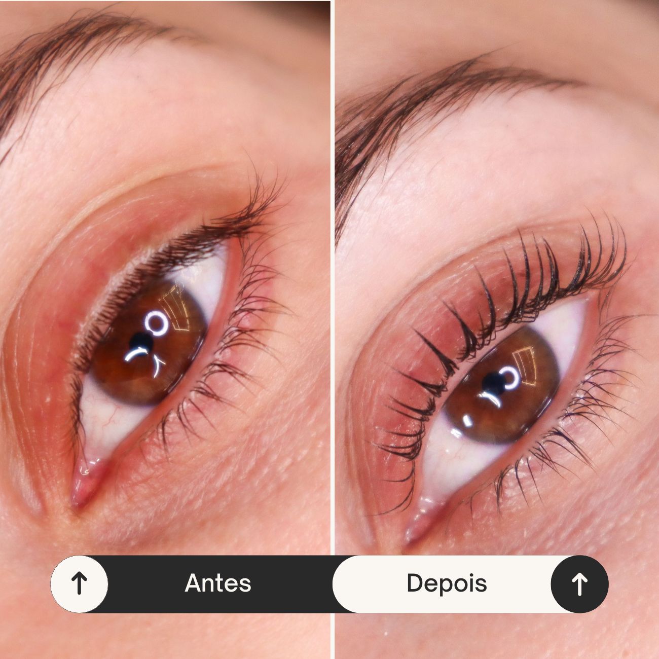 Lash Lifting