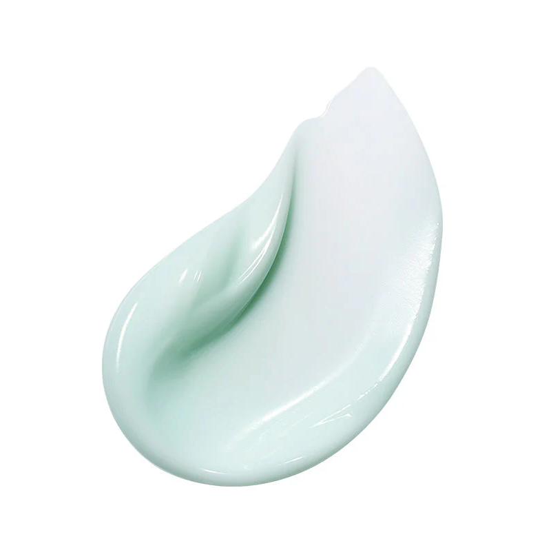 PDRN Hyaluronic Acid 100 Moisturizing Cream -Anua